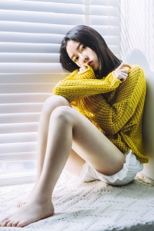 柳舟记电视剧免费看